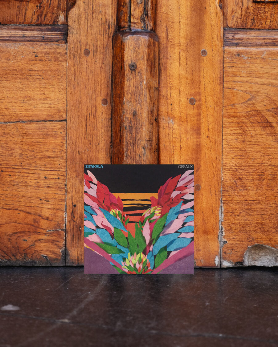 Zitakula - Oiseaux flexidisc