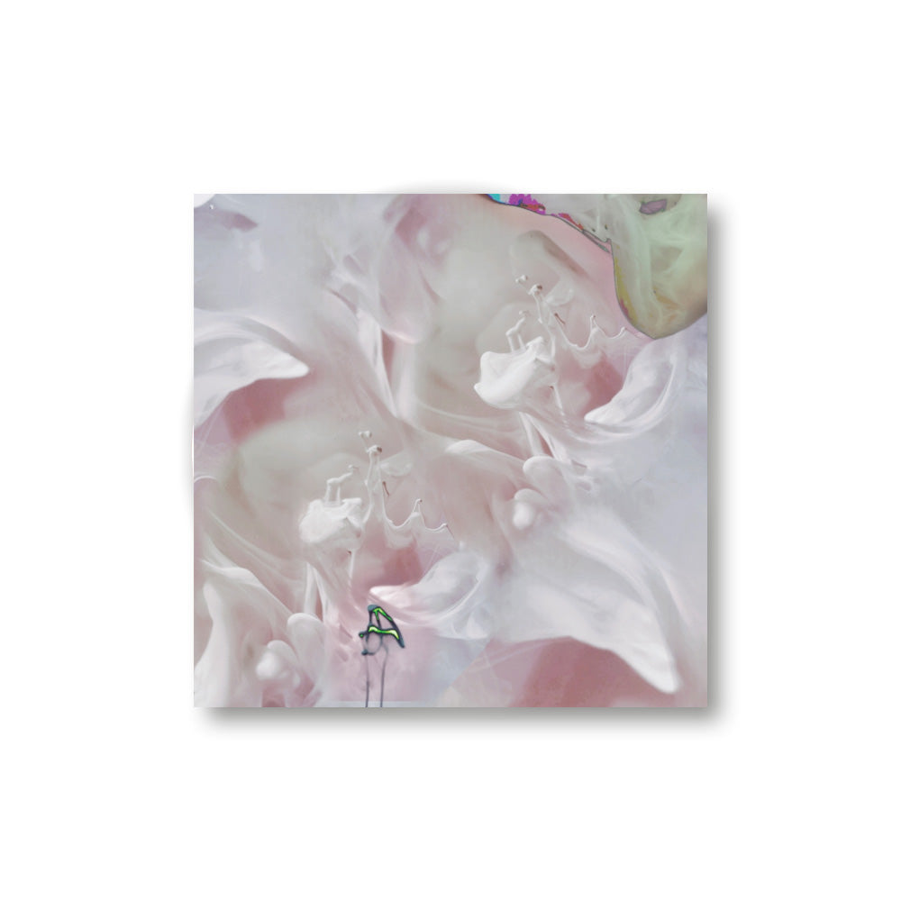 Lenxi - Did You Get The Dream I Sent You? / Water Connects Us (PVC061)