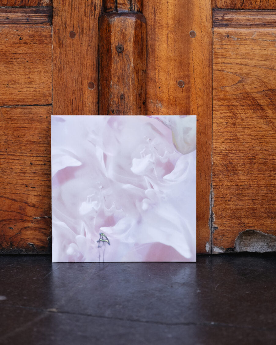 Lenxi - Did You Get The Dream I Sent You? / Water Connects Us (PVC061)